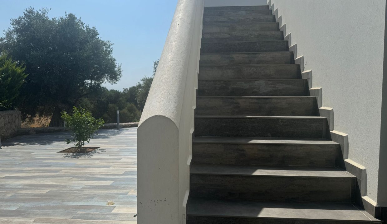 WhatsApp Image 2024-07-06 at 16.13.29