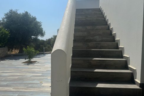 WhatsApp Image 2024-07-06 at 16.13.29