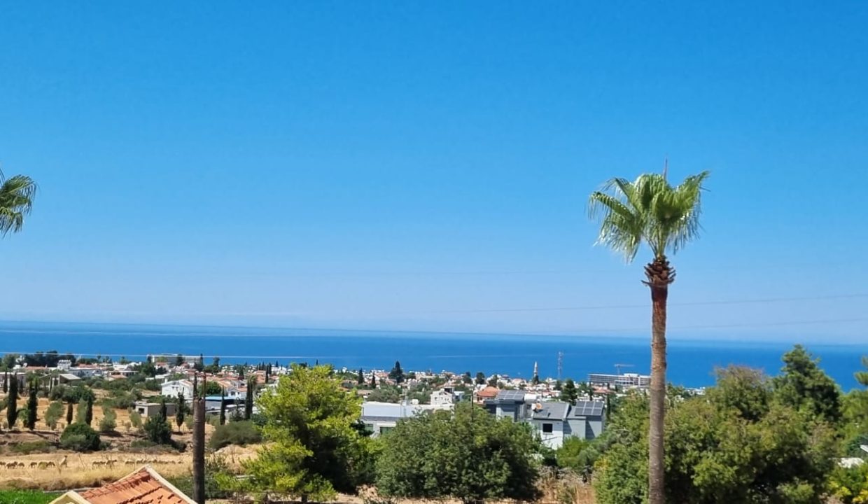 WhatsApp Image 2024-08-19 at 11.51.25