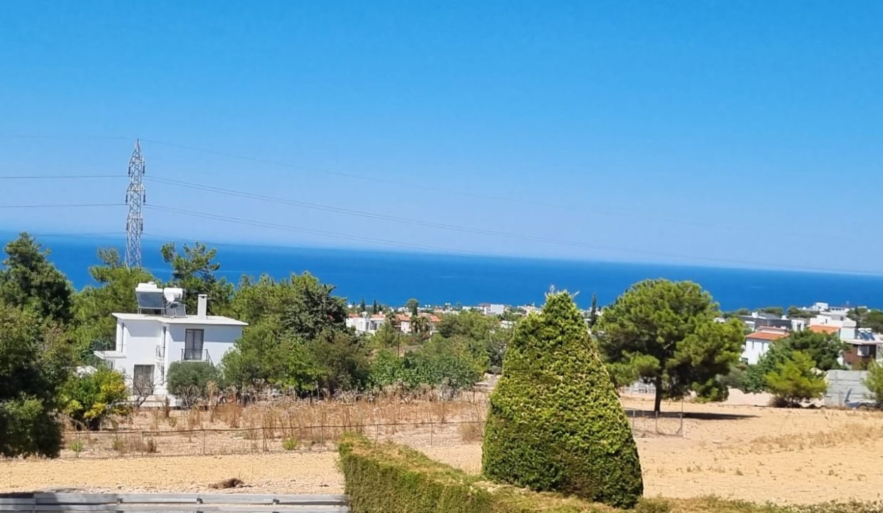 WhatsApp Image 2024-08-19 at 11.51.51