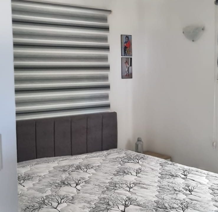 WhatsApp Image 2024-08-19 at 11.51.52 (1)