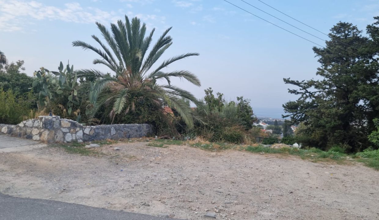 WhatsApp Image 2023-11-13 at 15.24.22