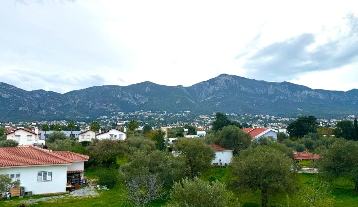 WhatsApp Image 2026-02-13 at 14.17.06