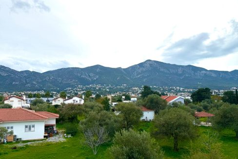 WhatsApp Image 2026-02-13 at 14.17.06