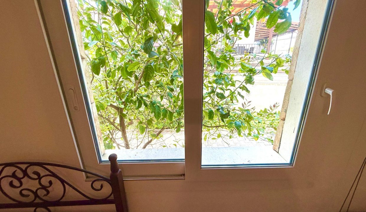 WhatsApp Image 2026-03-09 at 14.42.19