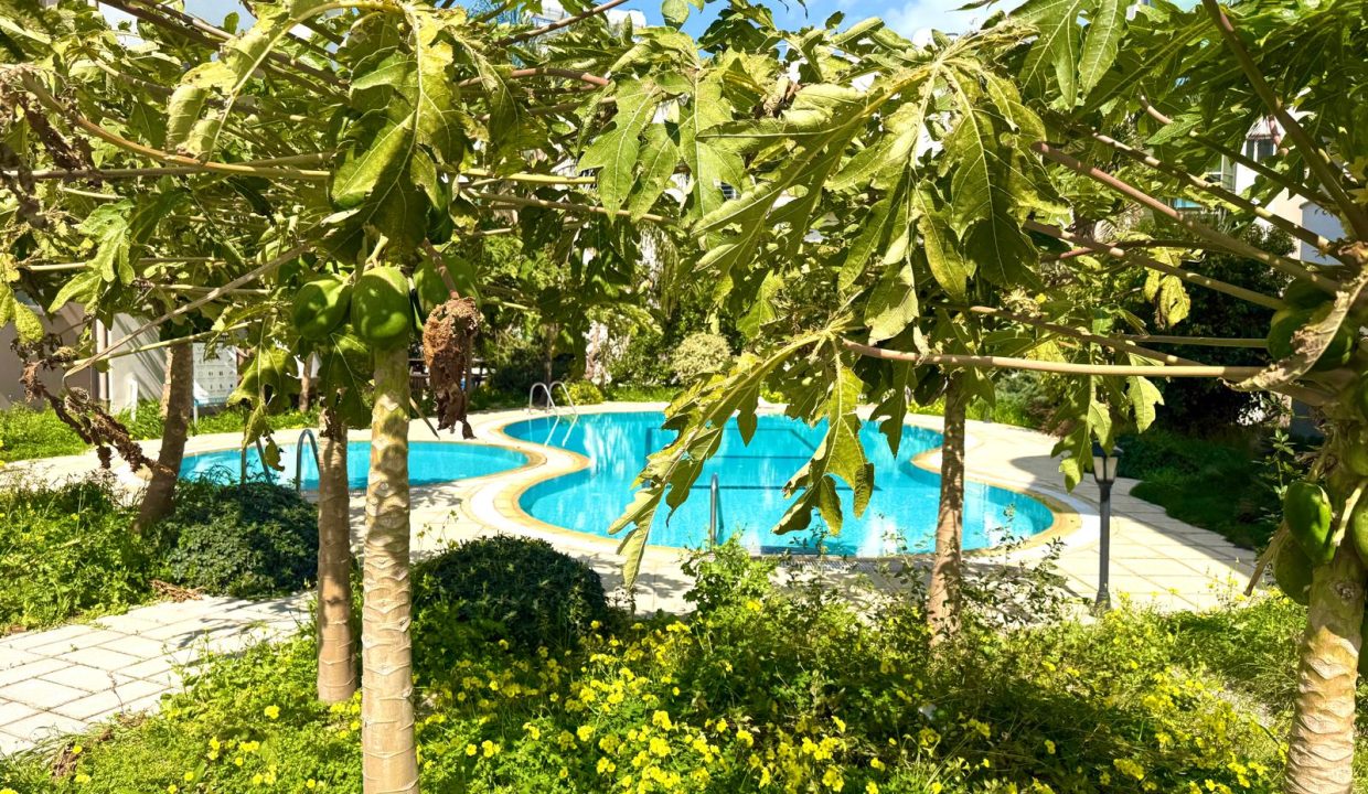 WhatsApp Image 2026-03-09 at 15.17.02 (1)