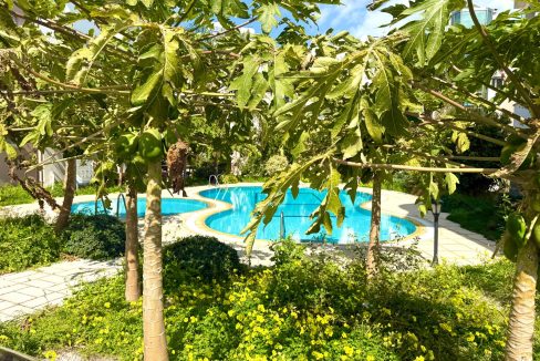 WhatsApp Image 2026-03-09 at 15.17.02 (1)