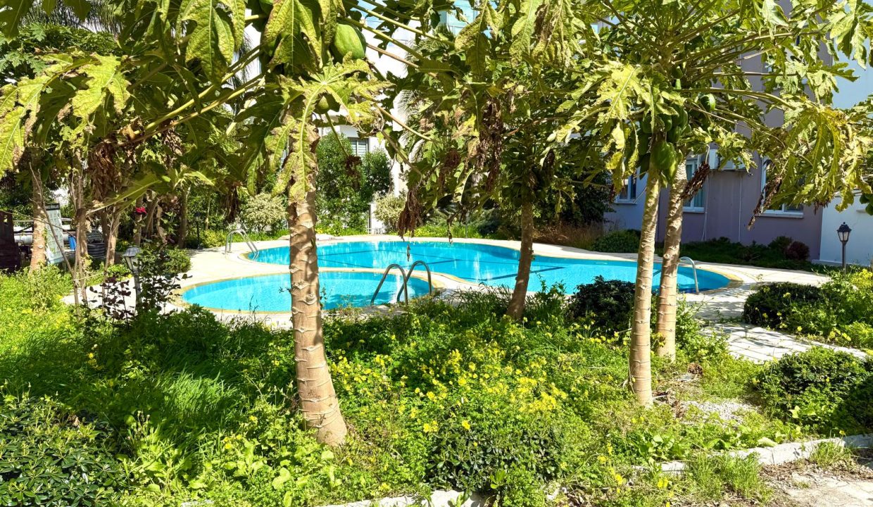 WhatsApp Image 2026-03-09 at 15.17.10 (1)