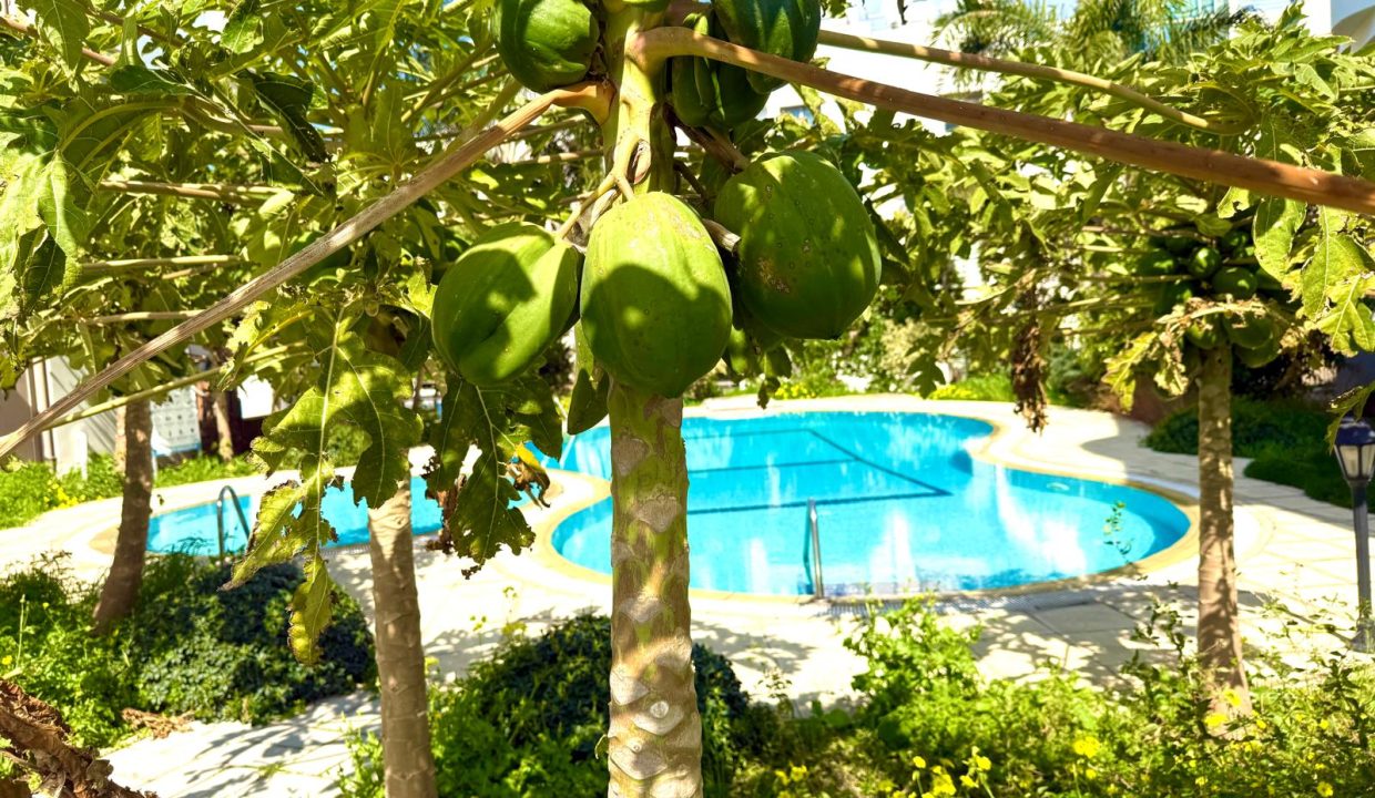 WhatsApp Image 2026-03-09 at 15.17.10