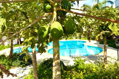 WhatsApp Image 2026-03-09 at 15.17.10